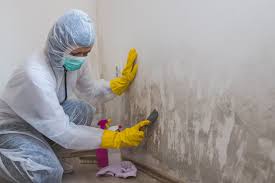 Best Forensic Mold Investigation in Westminster, SC